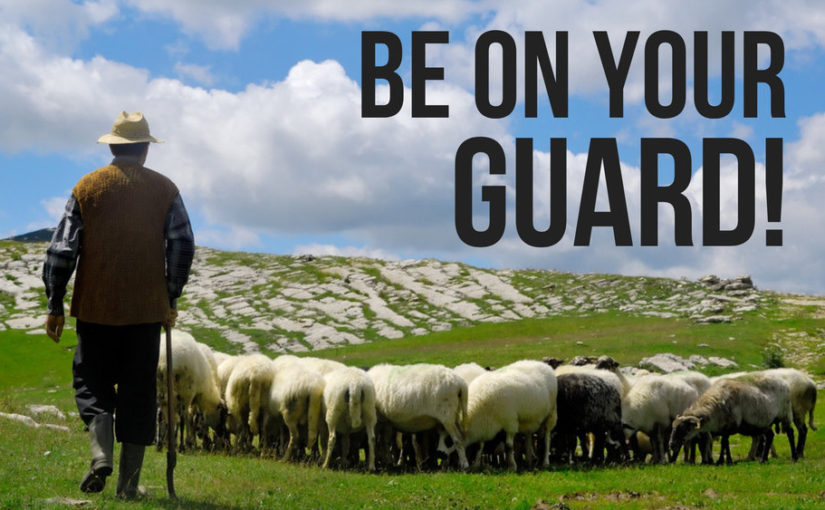 Be on your guard. Shepherd and sheep
