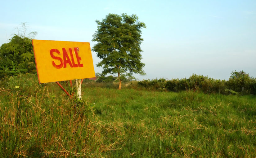Sale sign on land