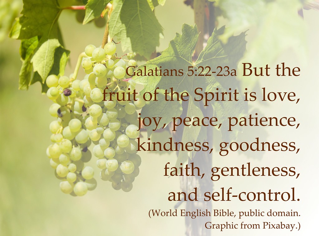 Fruit of the Holy Spirit (What Jesus Meant by “Overcome the World”: Part 2)